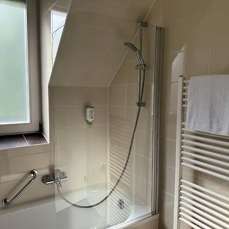 Eisberg Schwanen 3* Lahr (Baden-Wurttemberg)