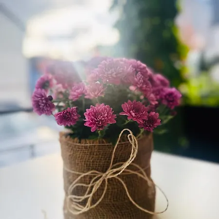 Eisberg Schwanen Hotel Lahr (Baden-Wurttemberg)