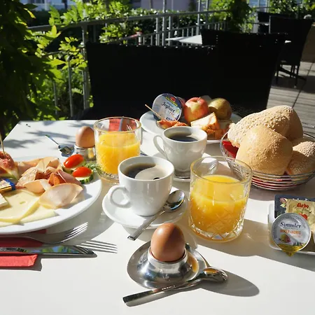 Eisberg Schwanen 3* Lahr (Baden-Wurttemberg)