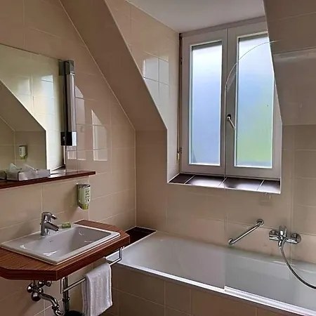 Eisberg Schwanen Hotel Lahr (Baden-Wurttemberg)